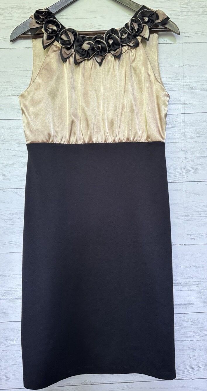 Tiana B. Womens Champagne & Black Sleeveless Dress Ribbon Floral Size 10